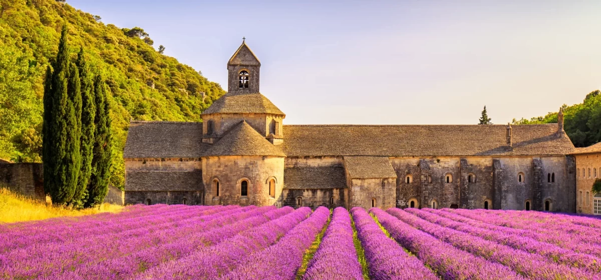 LA PROVENCE