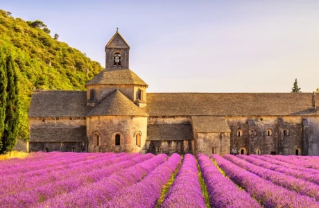 LA PROVENCE